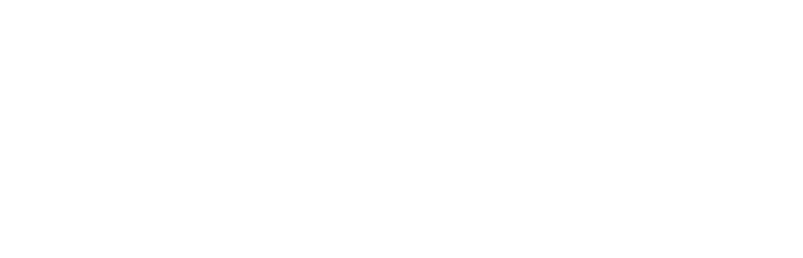 Core Precision fibre optic specialists logo