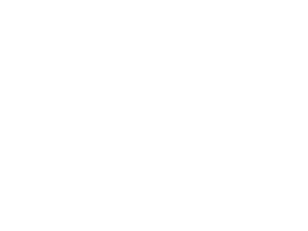 Fibre optic consultancy icon with two engineers in discussion