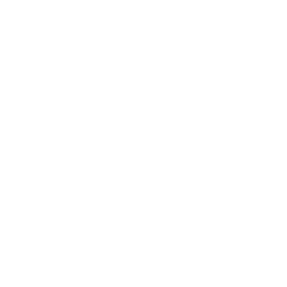 White globe icon